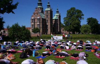 IDY 2017 in Denmark