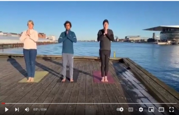 Yoga enthusiasts performed Surya Namaskar in Denmark